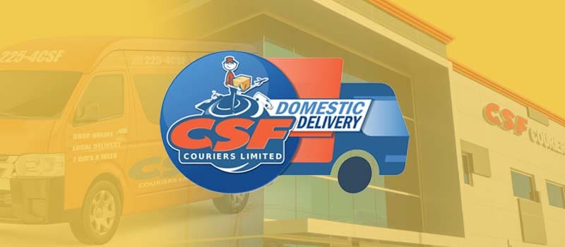CSF Domestic Delivery